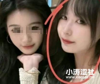 胖猫事件后，魔幻又恶臭的互联网现状_黑料正能量