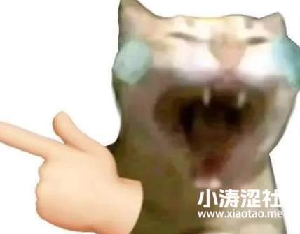 这就是顶流Rapper?！三火Flame耍大牌，饭圈女粉的骚操作把人看乐了...._黑料正能量