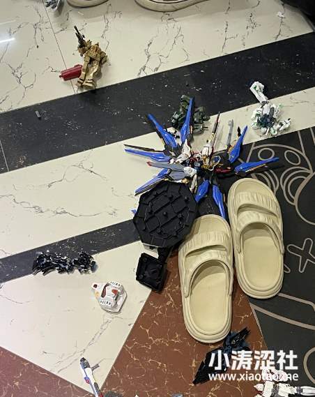 血压飙升，还是笑出声？因为生活琐事，胶佬的一柜子模型，被妻子砸了..._黑料正能量