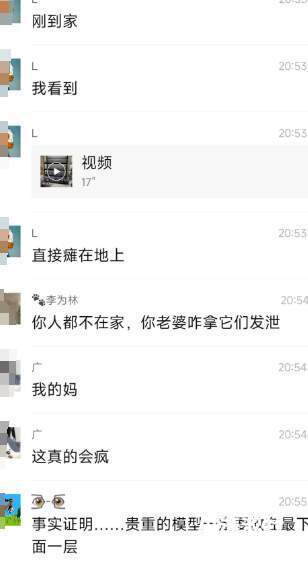 血压飙升，还是笑出声？因为生活琐事，胶佬的一柜子模型，被妻子砸了..._黑料正能量
