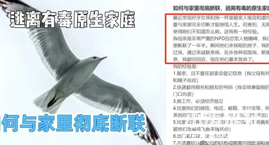 我在小红书学习：“和爸爸断绝关系”..._黑料正能量
