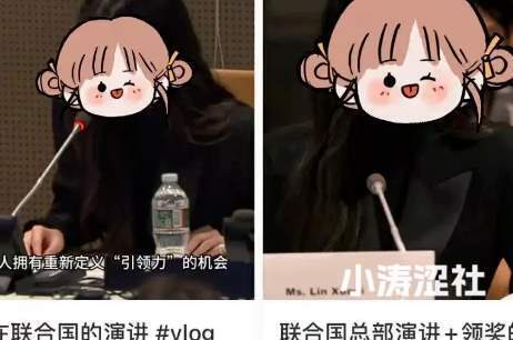 聊一聊联合国赛道的“第一人”林大小姐_黑料正能量