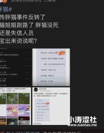 “我用生命担保，胖猫没死，事件反转了！”_黑料正能量