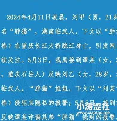 真反转来了？胖猫事件魔幻又现实的终章..._黑料正能量