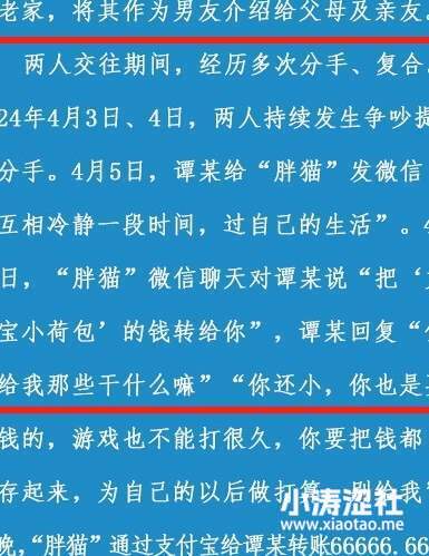 真反转来了？胖猫事件魔幻又现实的终章..._黑料正能量