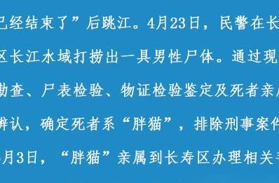 真反转来了？胖猫事件魔幻又现实的终章..._黑料正能量