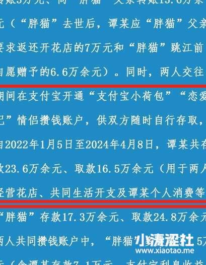 真反转来了？胖猫事件魔幻又现实的终章..._黑料正能量