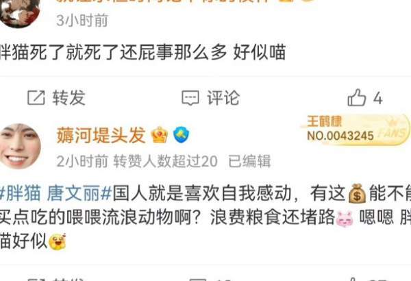 胖猫事件后，魔幻又恶臭的互联网现状_黑料正能量