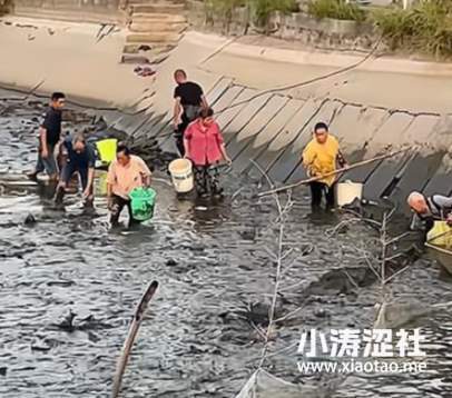 我又赢了，金蝉子！网红李维刚包塘遭遇的“抢鱼”事件，让我再次见识到人性之恶..._黑料正能量