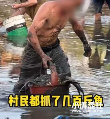 我又赢了，金蝉子！网红李维刚包塘遭遇的“抢鱼”事件，让我再次见识到人性之恶..._黑料正能量