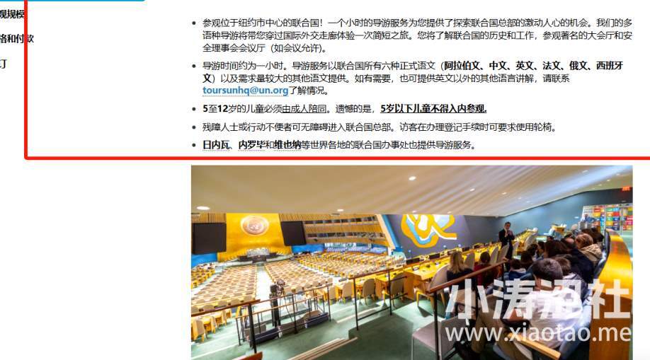 真不如丁真！当拼夕夕的“名媛名流风”，飘到了联合国..._黑料正能量