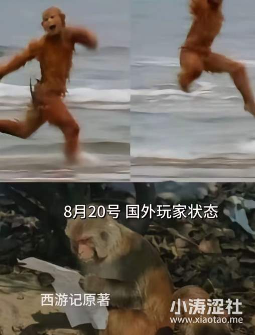 盘点黑神话悟空中的一些梗图和笑话_黑料正能量