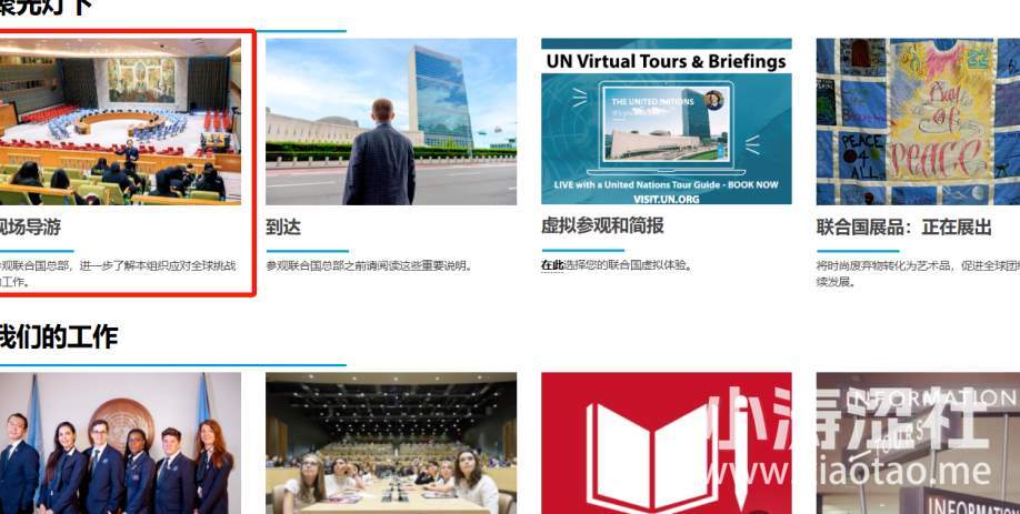 真不如丁真！当拼夕夕的“名媛名流风”，飘到了联合国..._黑料正能量