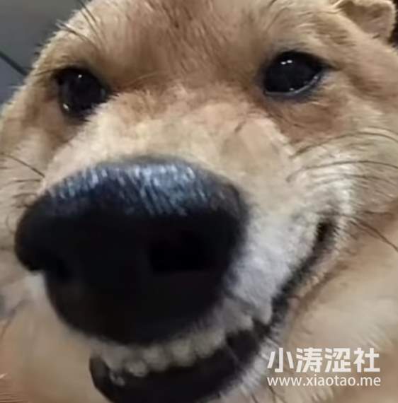 光天化日送毛妹罩子的“袜子哥”到底有多离谱？_黑料正能量