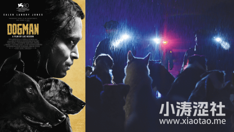 《人犬》卢贝松再度写出一个精彩的「非人」角色，让人犬成了反面的受难耶稣-1