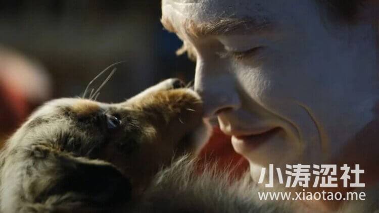 《人犬》卢贝松再度写出一个精彩的「非人」角色，让人犬成了反面的受难耶稣-1