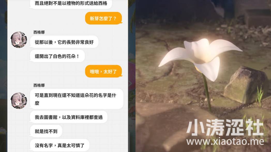 《胜利女神：妮姬》连动「尼尔」早就埋梗？ 圣诞活动疑藏人物名称彩蛋-1