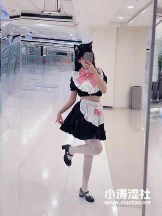 不呆猫COS图片作品赏析，美丽与艺术的结合