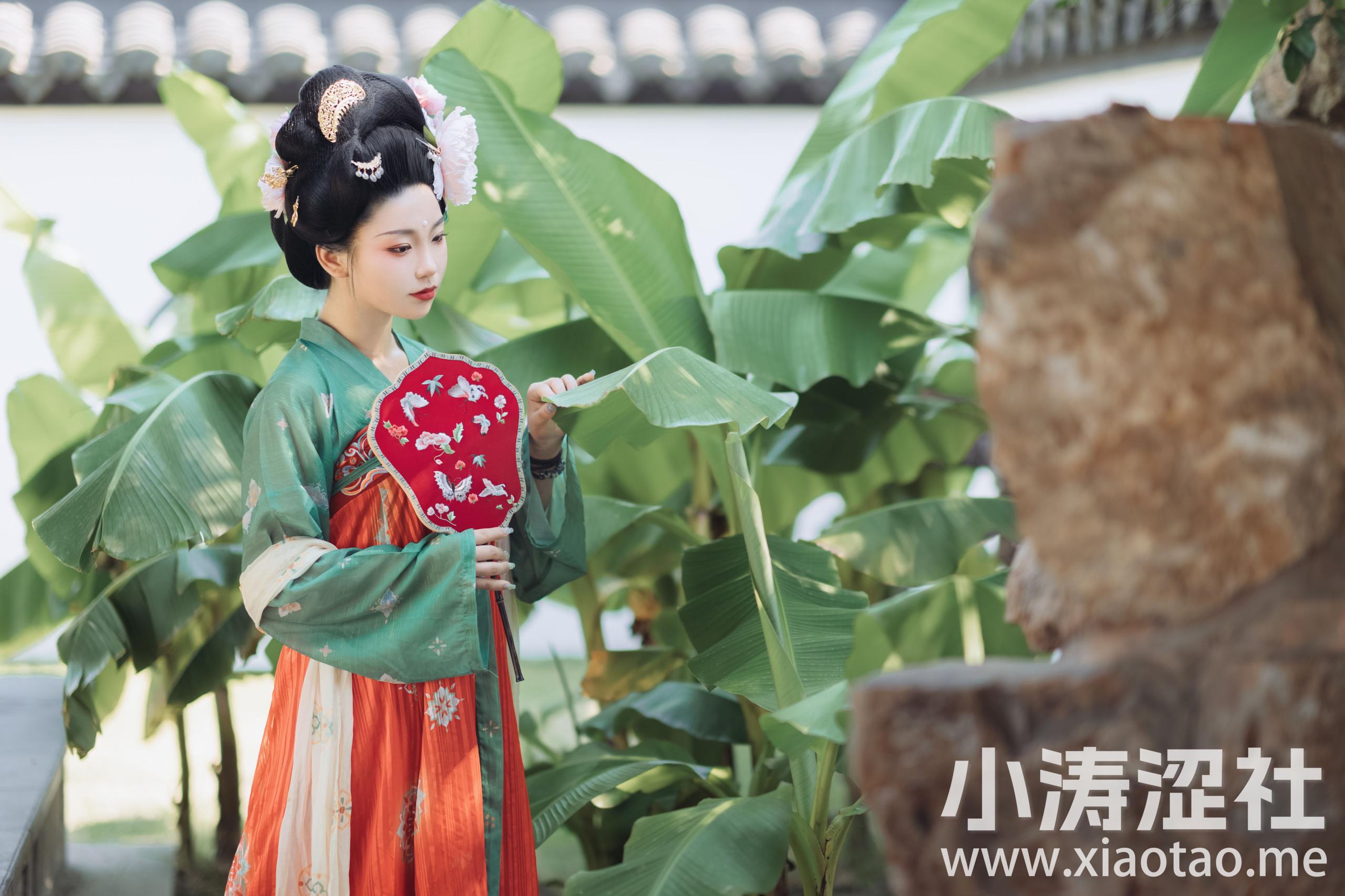 盼君归 古风 唯美 小清新 养眼 唐风