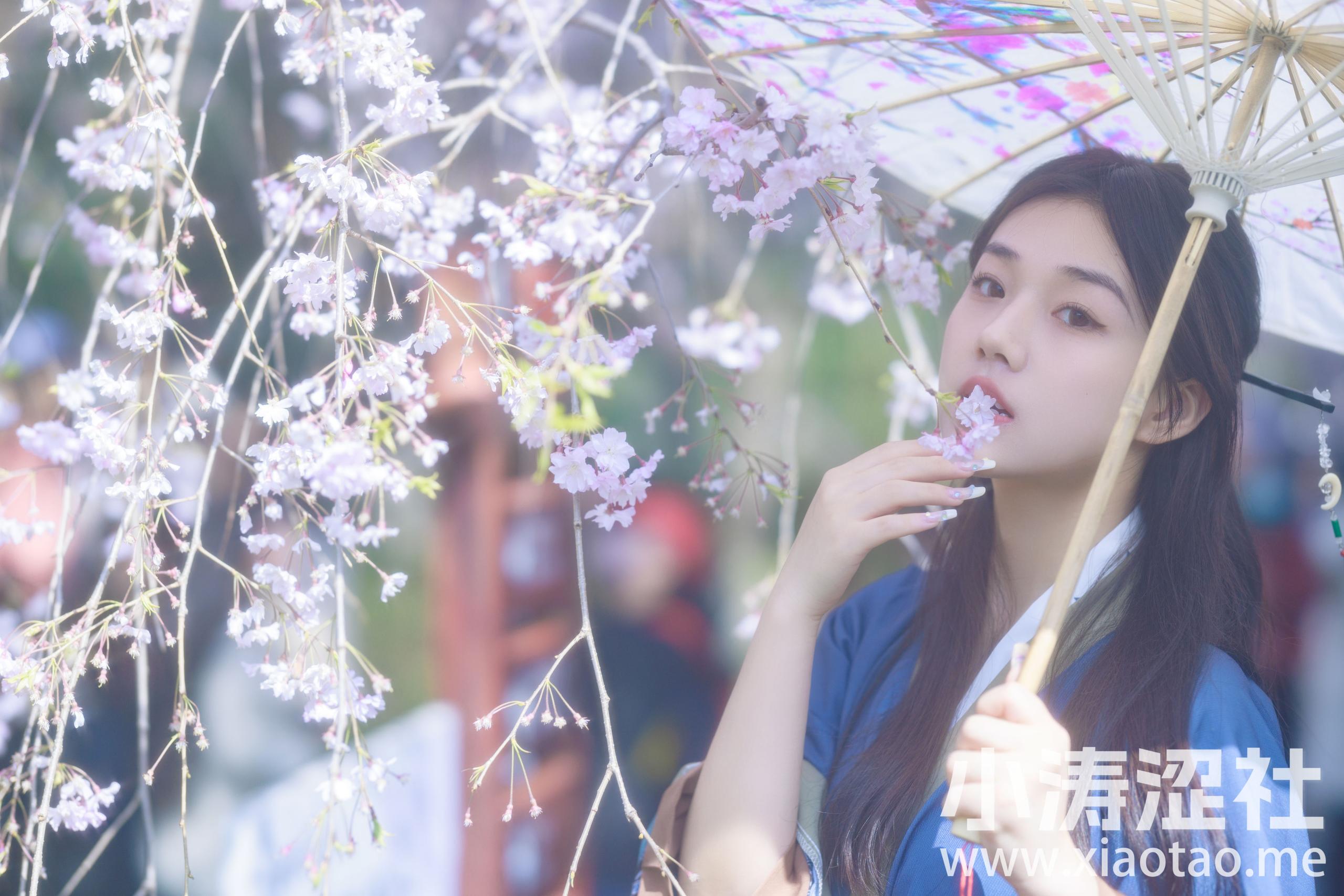 垂樱 樱花 少女 古装 清纯 美图 小仙女 模特 小姐姐 美人 汉服
