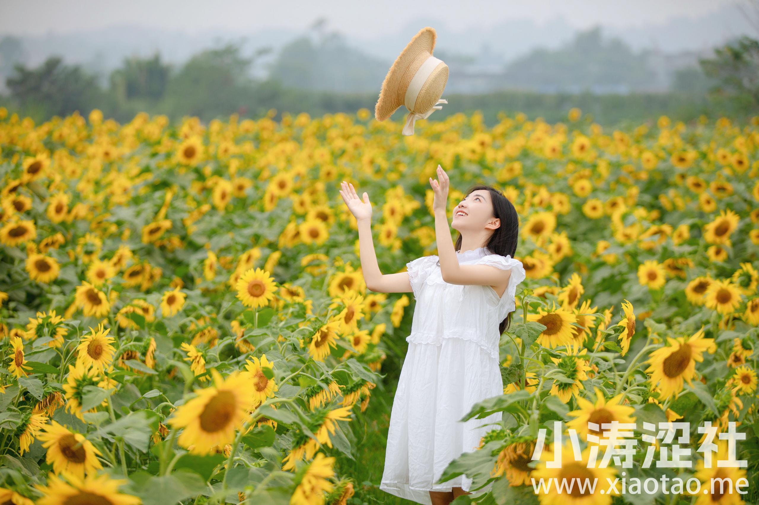 向日葵女孩 向日葵 花 少女 小清新 写真集