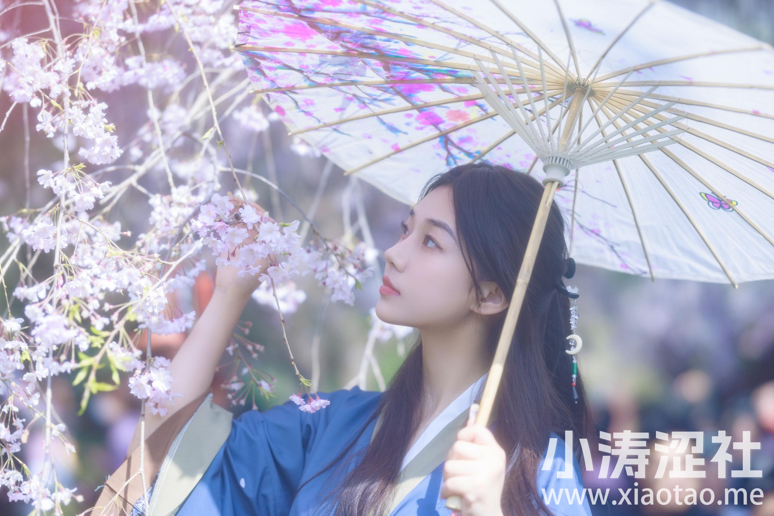 垂樱 樱花 少女 古装 清纯 美图 小仙女 模特 小姐姐 美人 汉服
