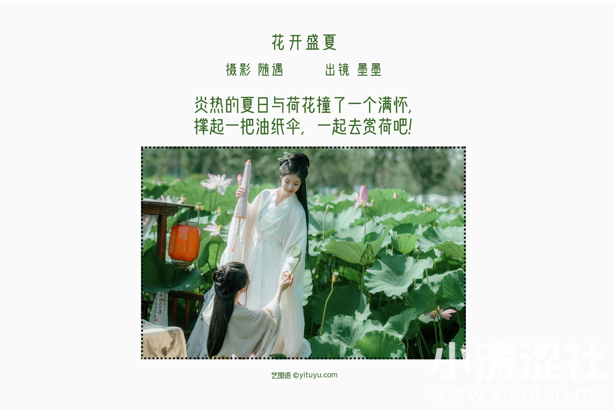 花开盛夏 花 古风 荷花 夏天 国风 仙气 小仙女