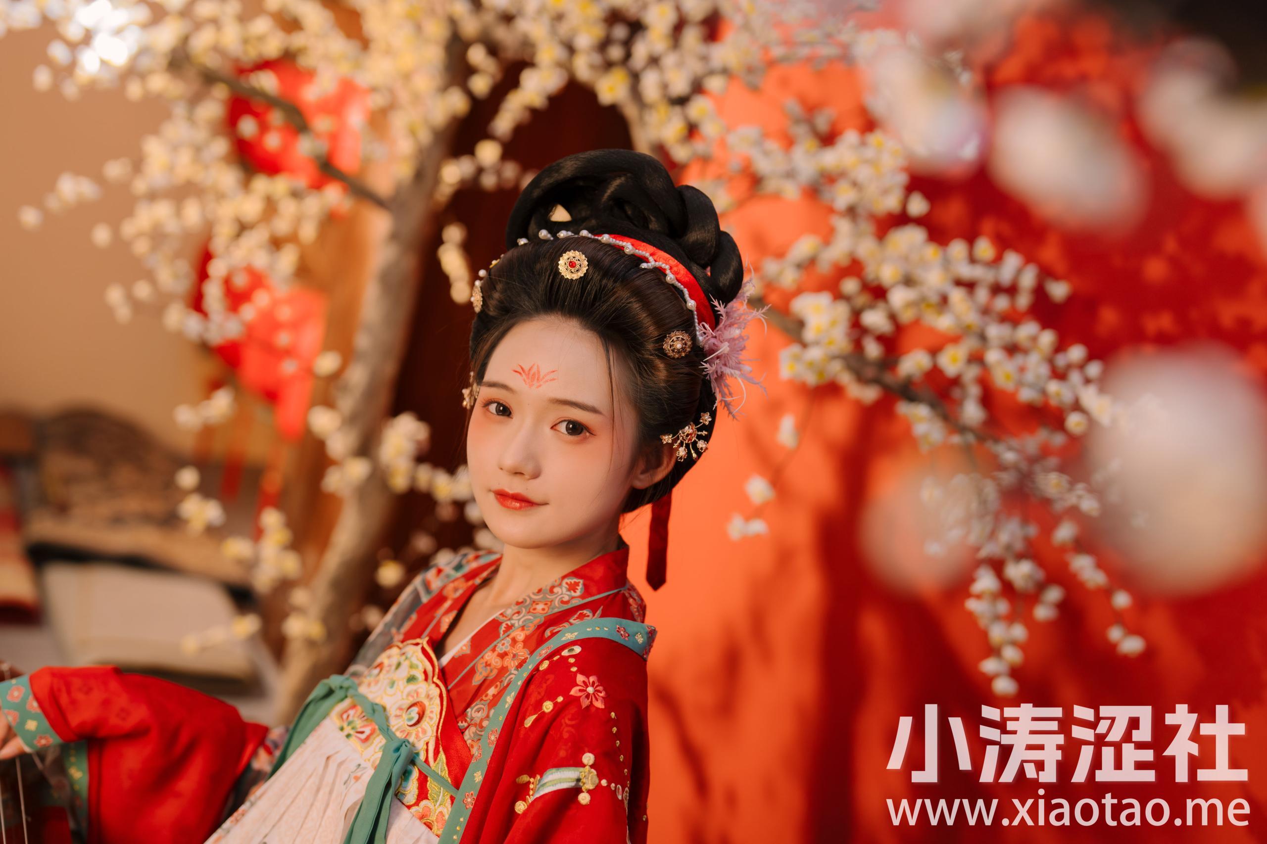 不负梦华 古风 少女 中国风 艺术 优美 优雅 高雅