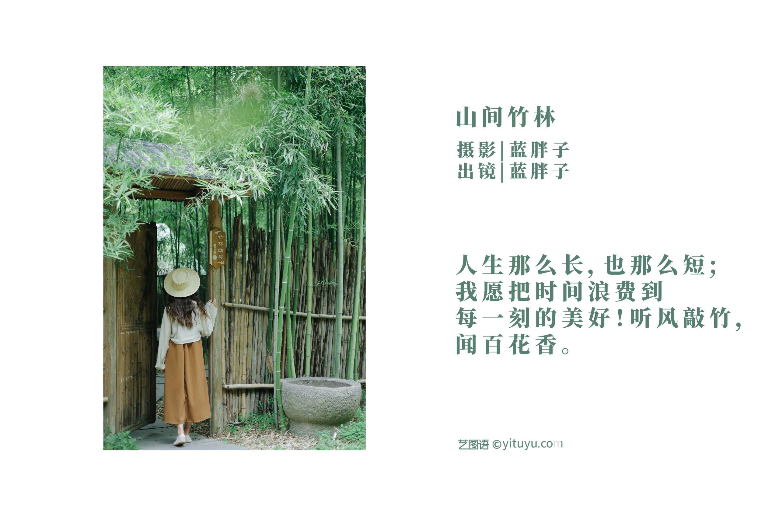 山间竹林 美好 文艺 小姐姐 竹林 写真集 妹子