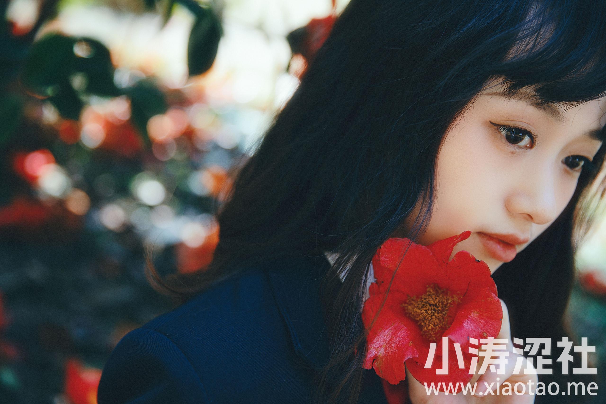 山茶花又开 JK 女生 花 青春 治愈系