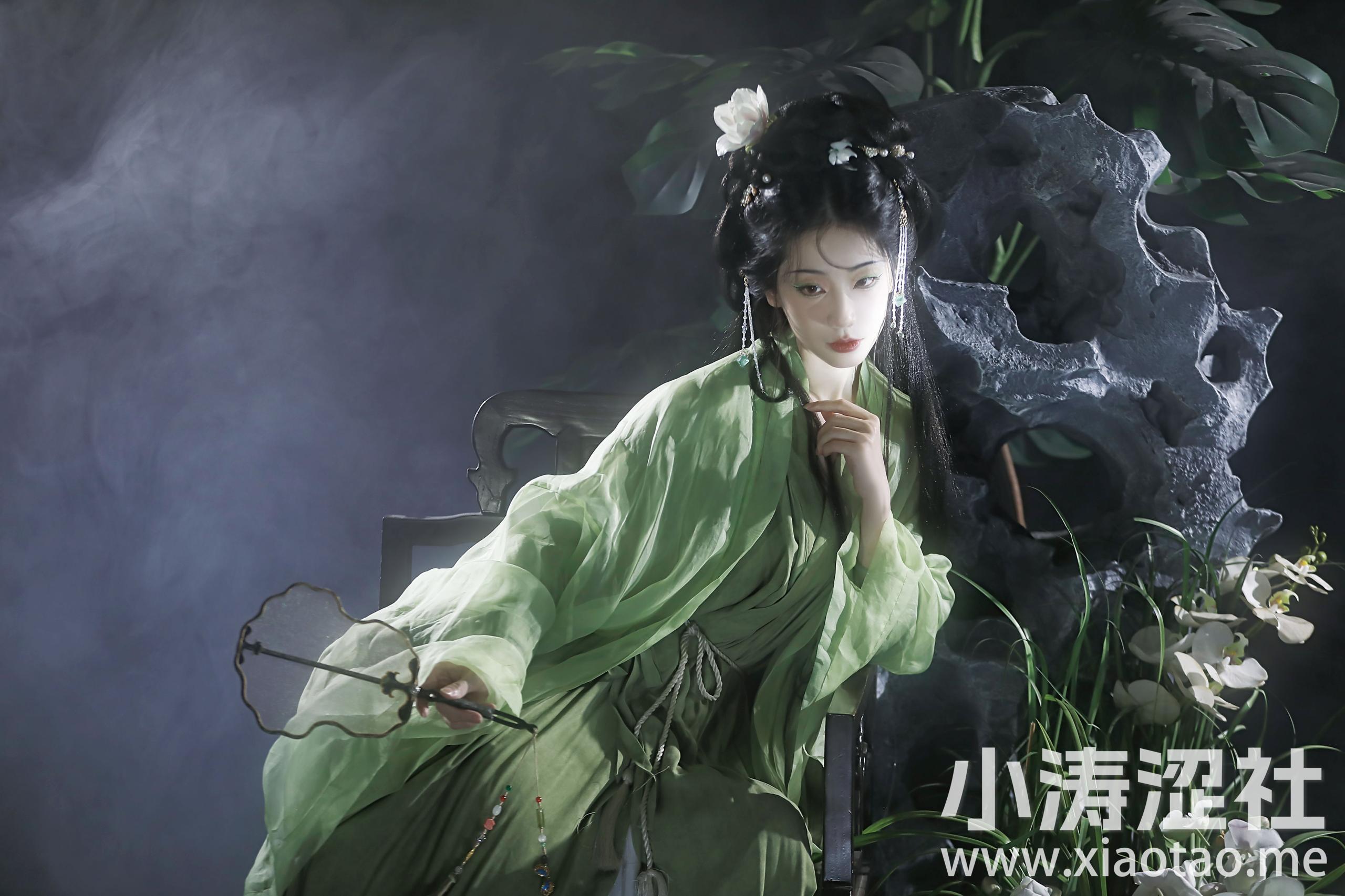 蝴蝶兰 清冷 花 艺术 绝色 古典 惊艳