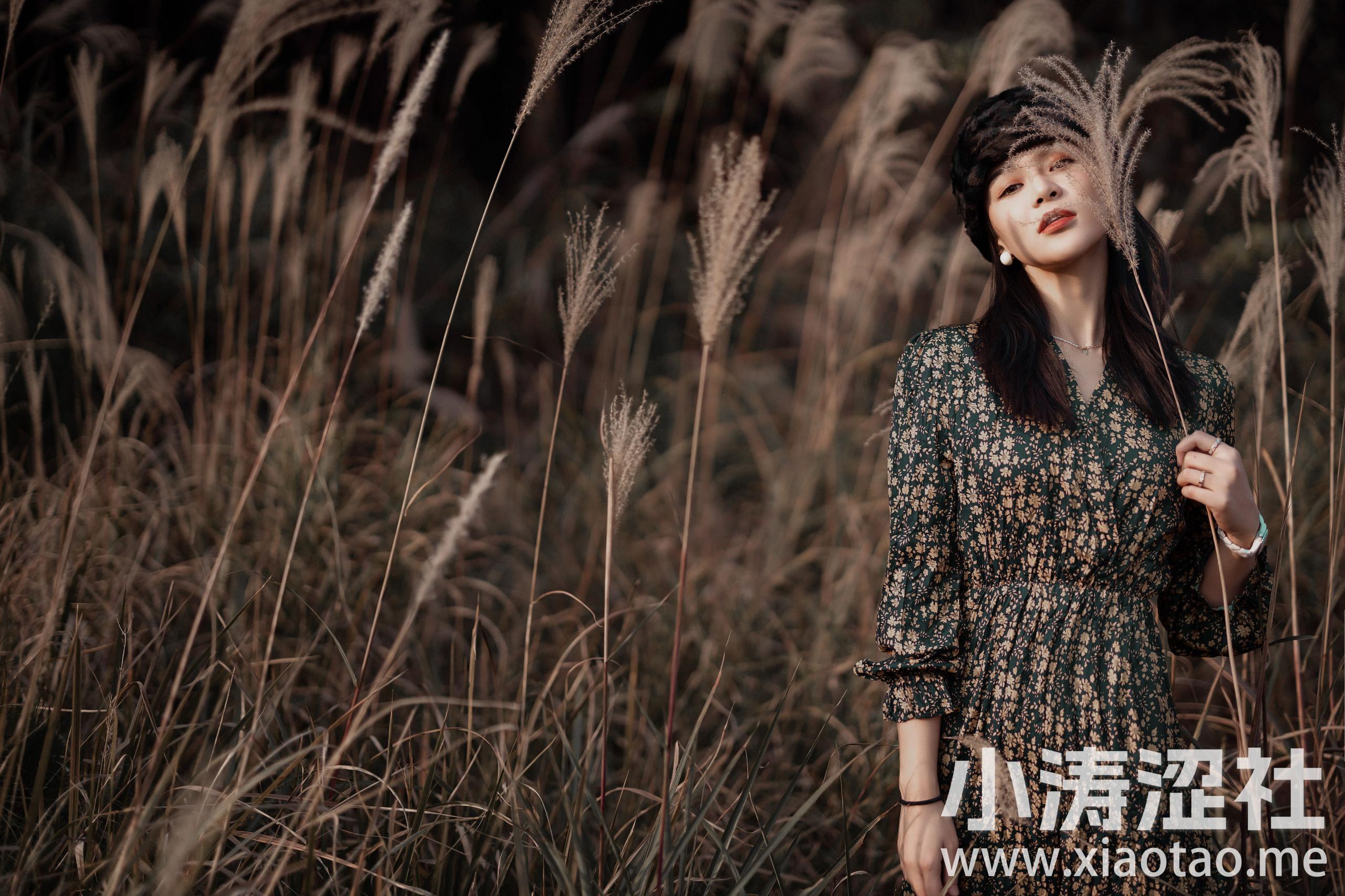 秋天的感觉 摄影 人像 女人 秋天 美女