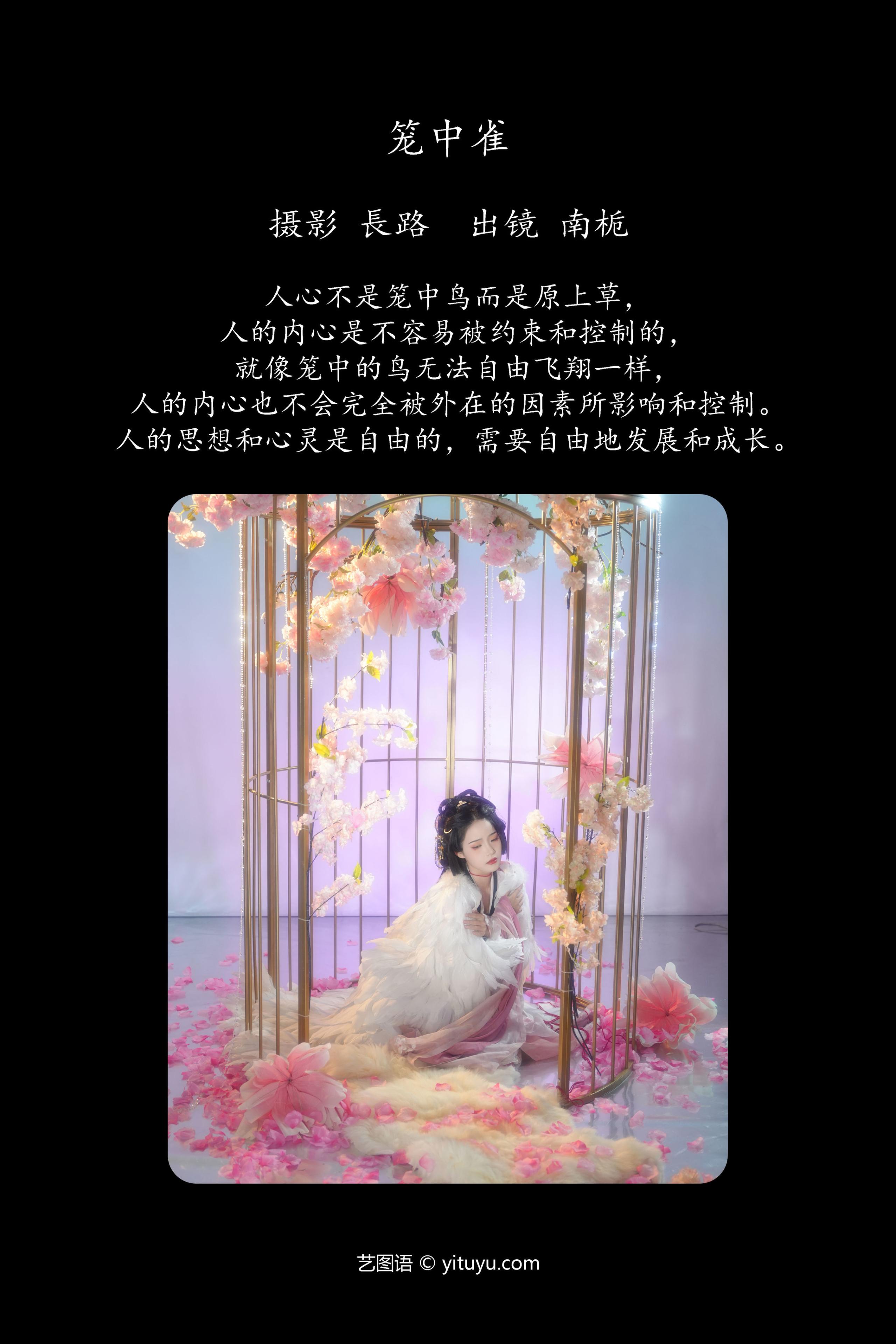 笼中雀 