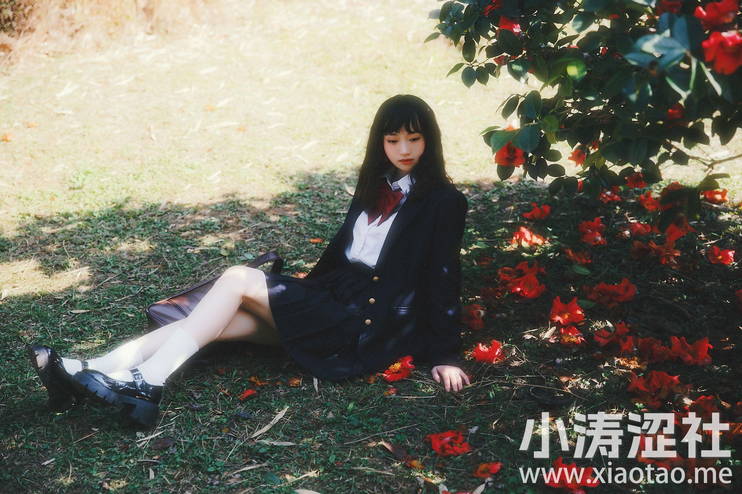 山茶花又开 JK 女生 花 青春 治愈系
