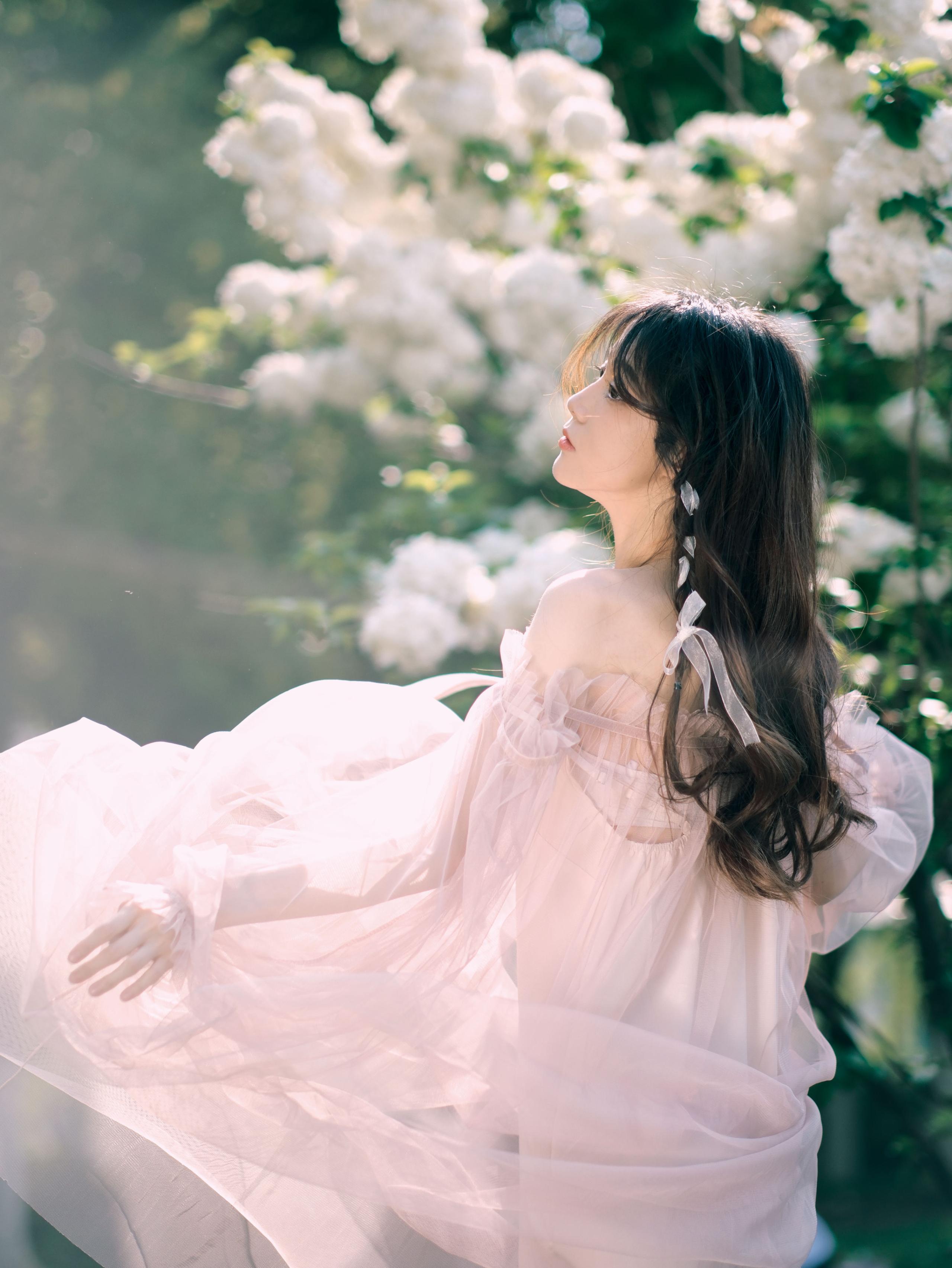 绣球花的浪漫 花 浪漫 少女 小清新 摄影 养眼 漂亮 绣球花