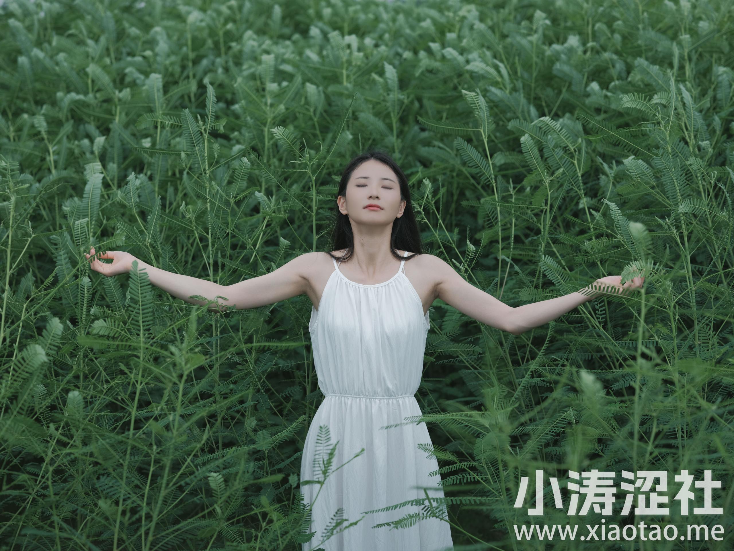 花床少女 小清新 少女 美丽 摄影 人像 养眼 优美