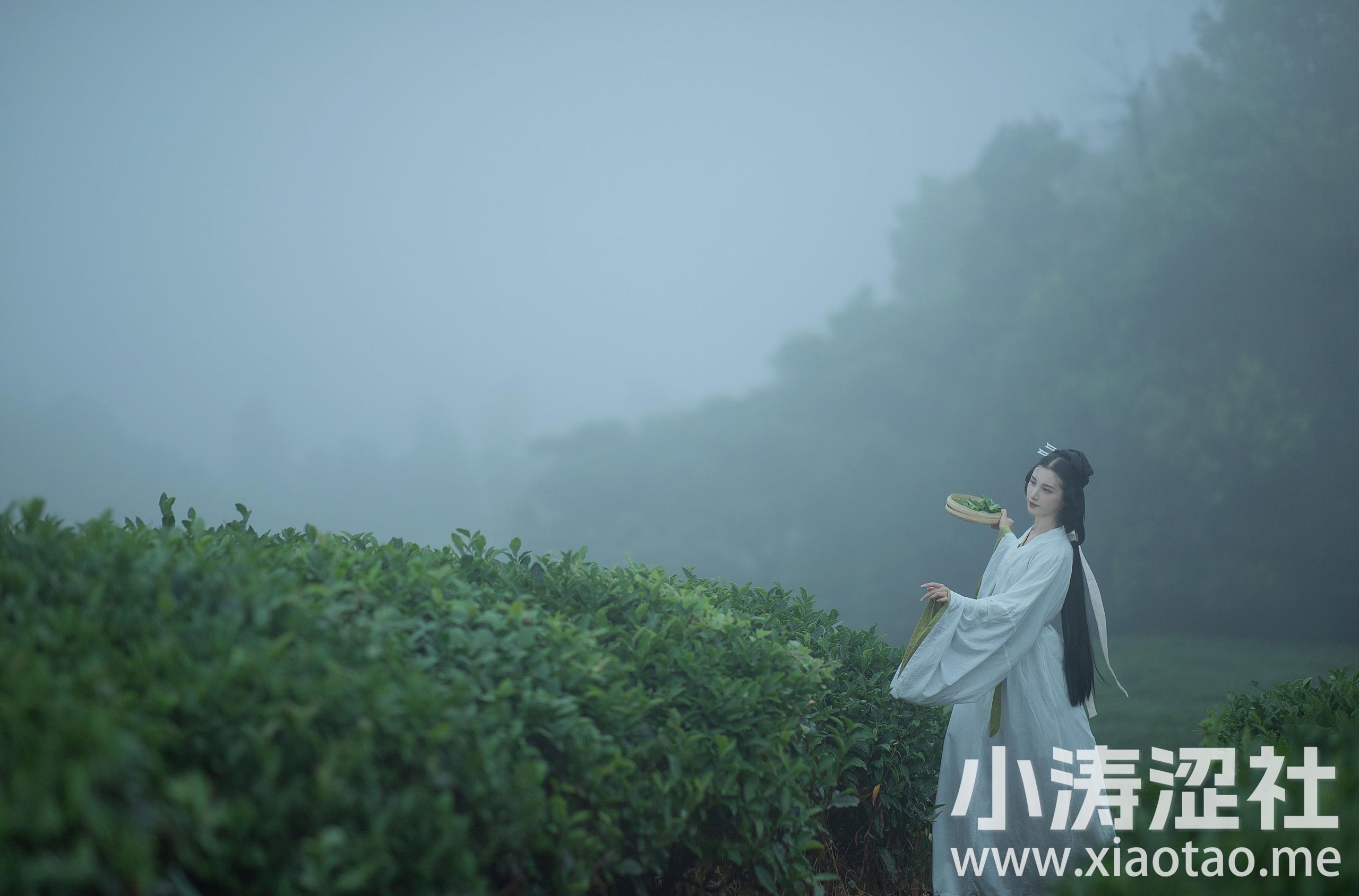 [YiTuYu艺图语] 十八重川《采茶女》 好看的4K高清无水印纯欲妹子意境唯美写真完整版图集