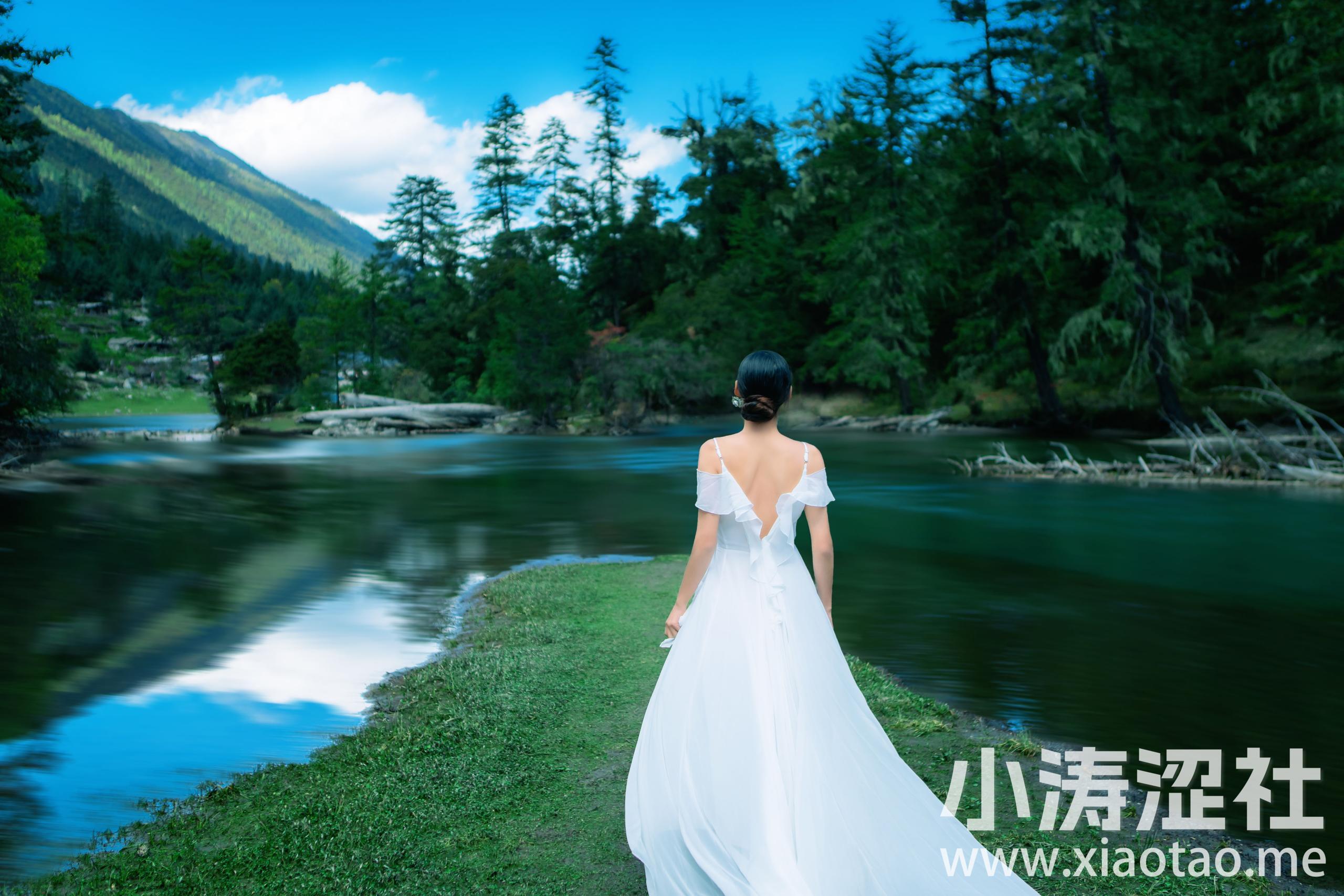 静谧森林 美图 惊艳 森系 摄影 精美 意境