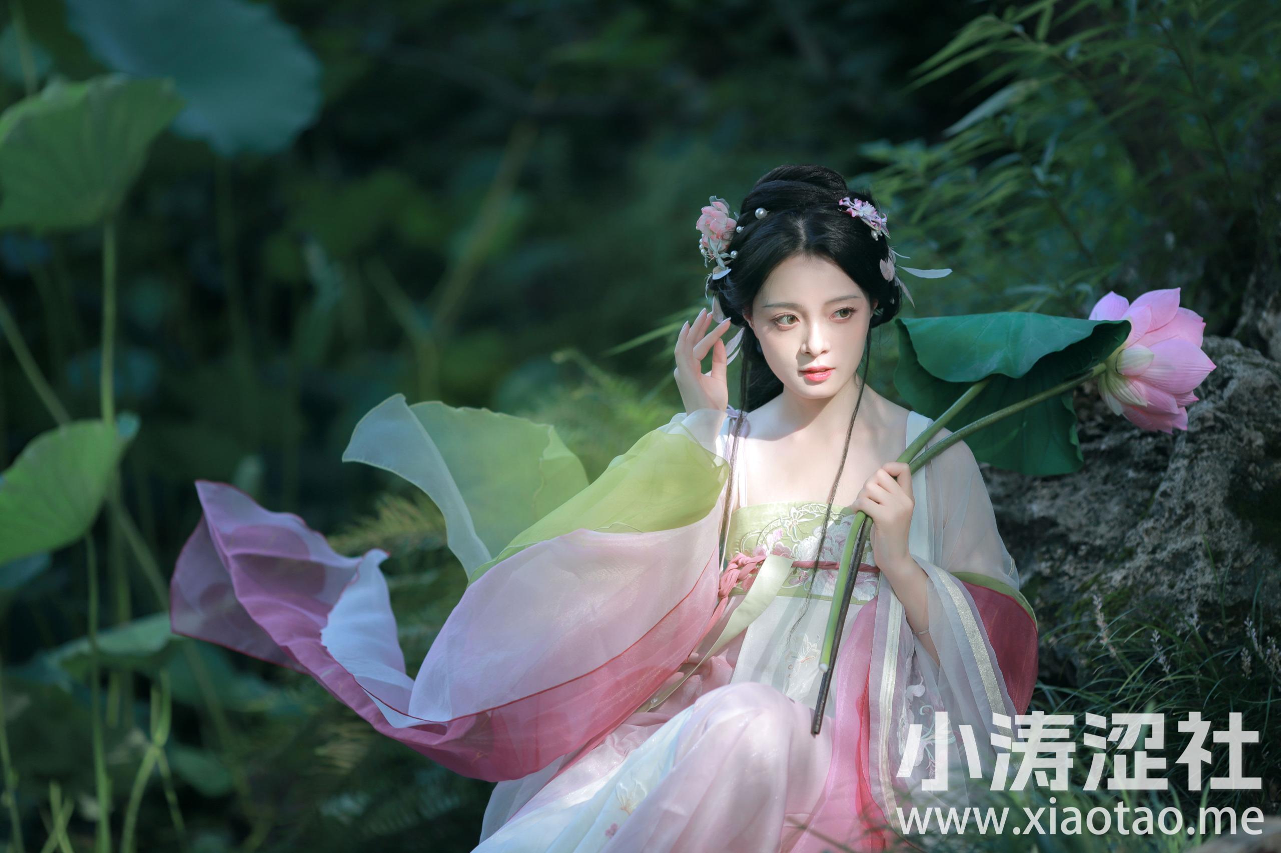 汉服荷花写真 
