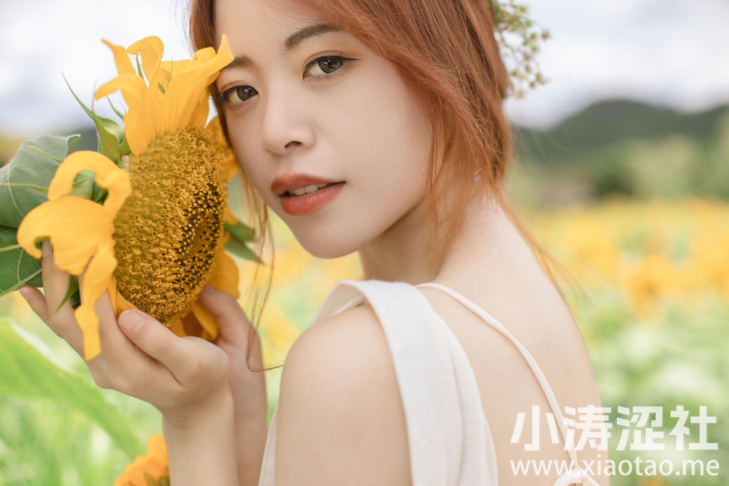 向日葵的阴天 
