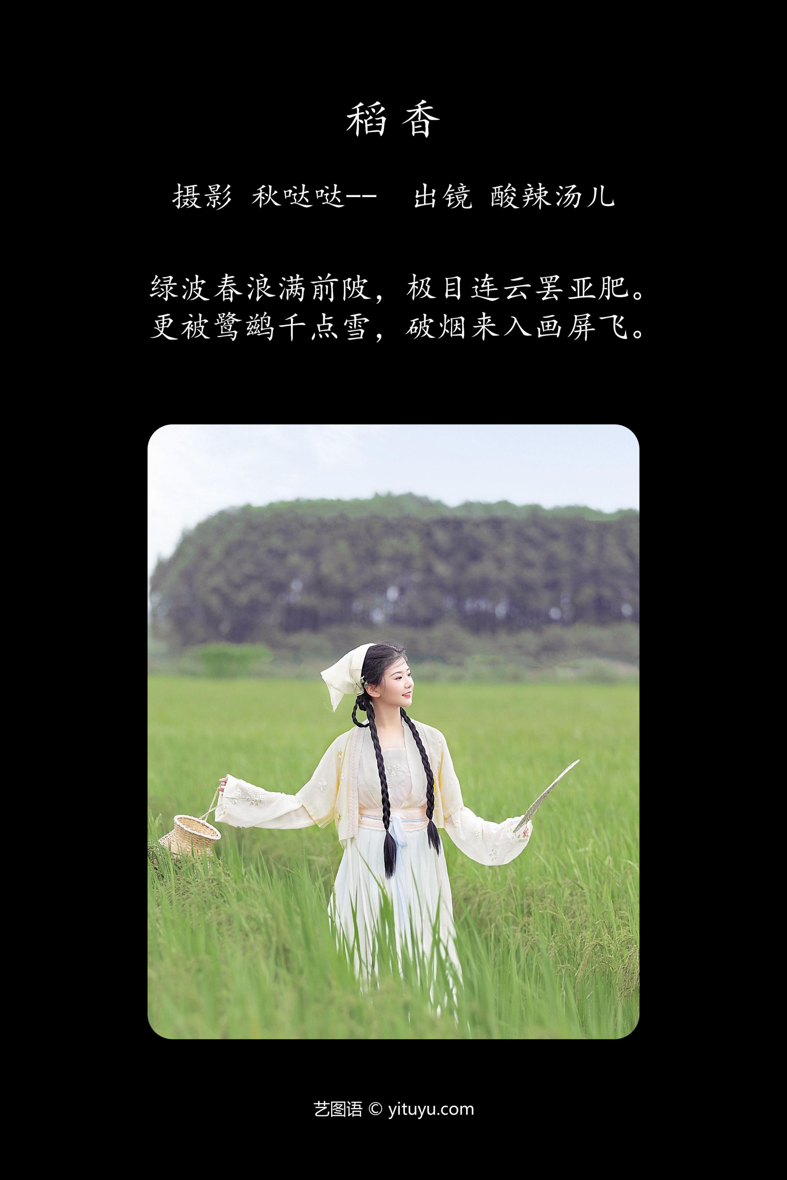稻香 
