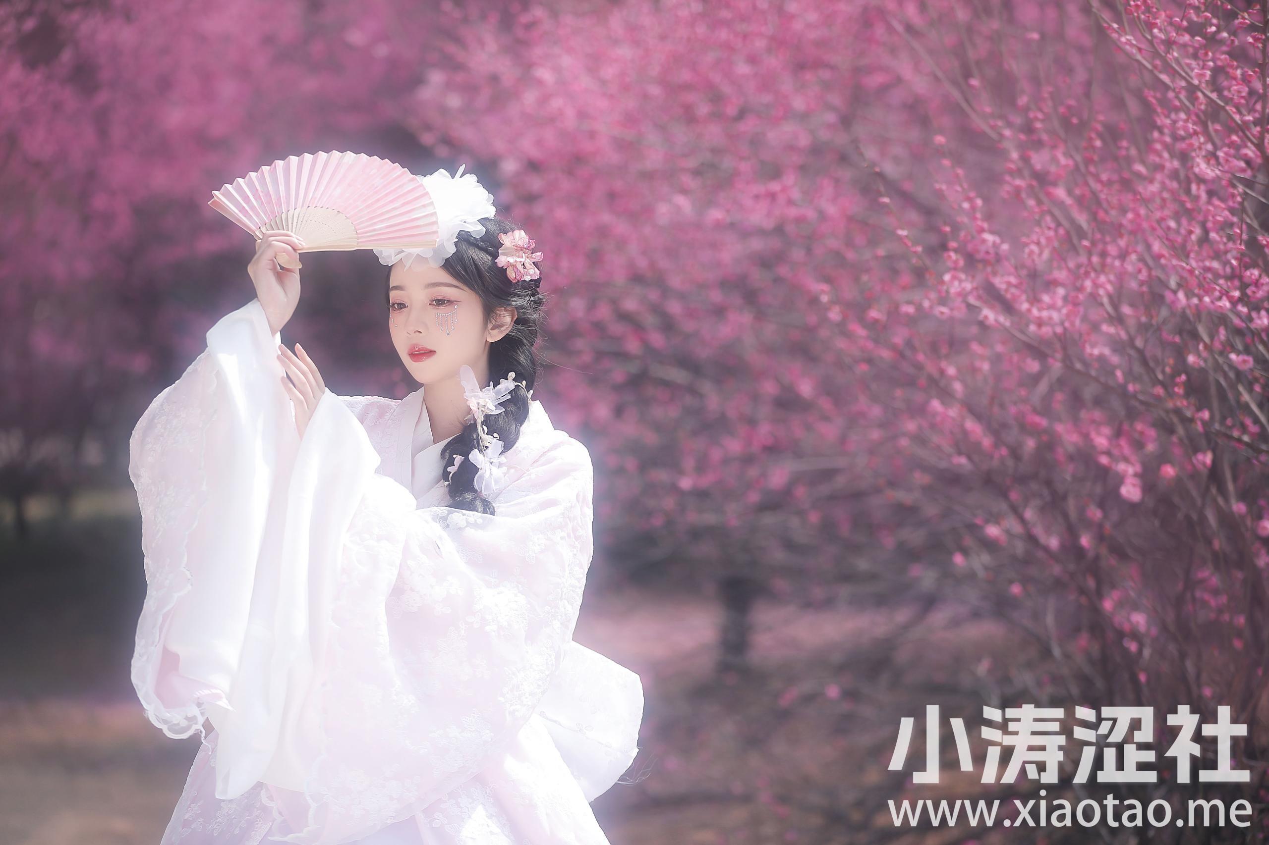 春日之花 写真 春天 美女 精美 漂亮
