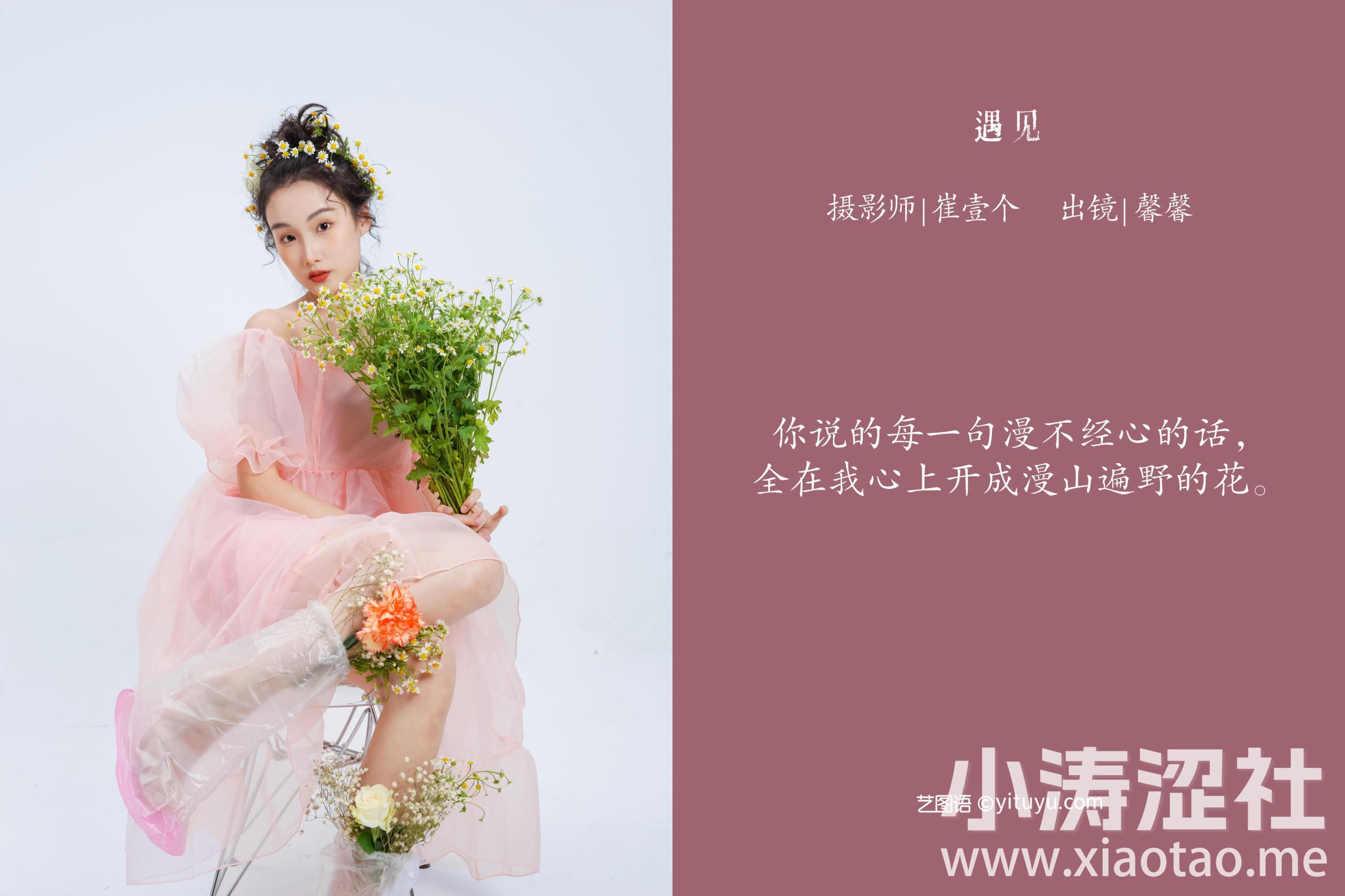 遇见 女郎 人像 花 模特