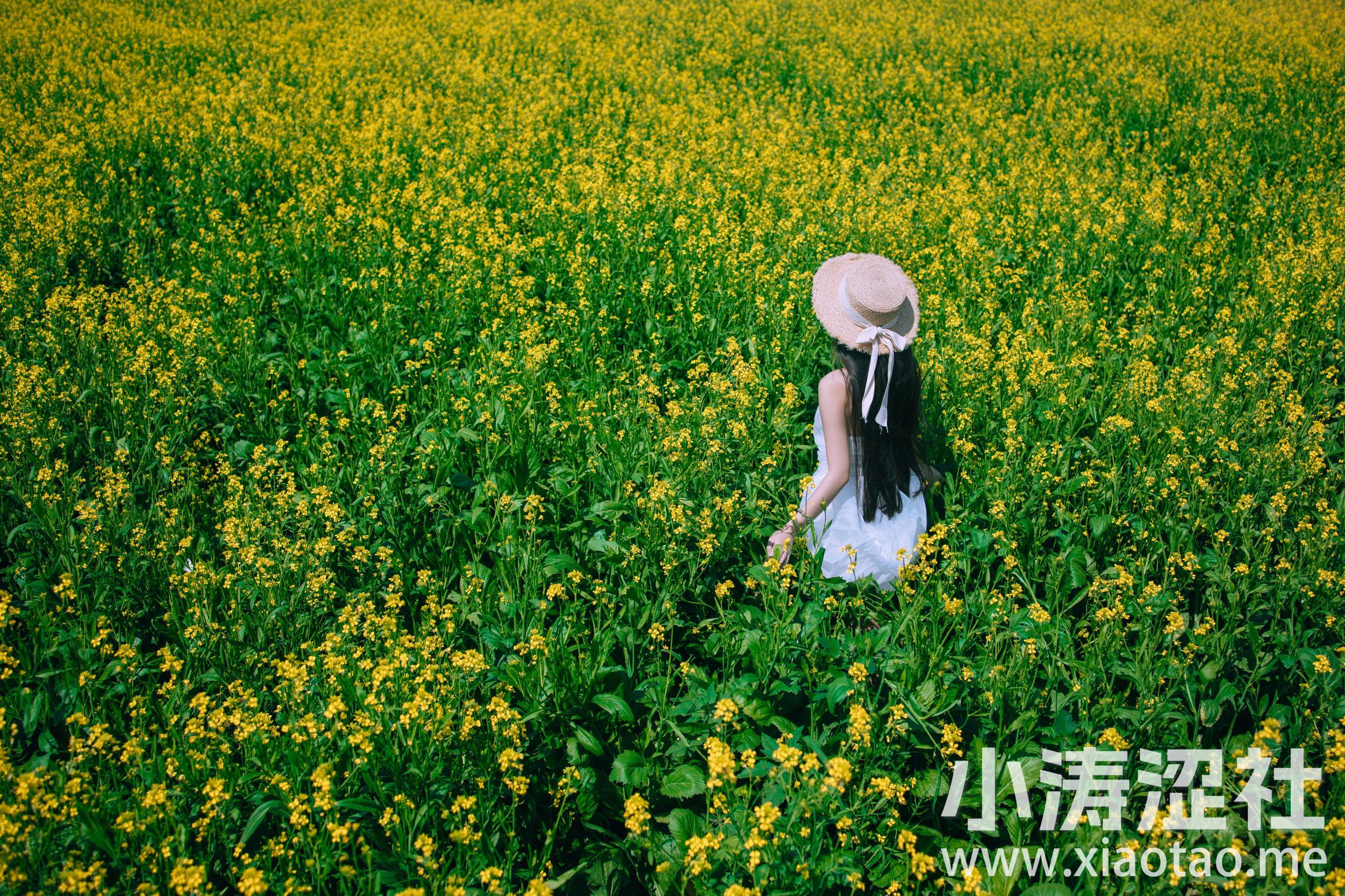 少女油菜花写真 花 美少女 小清新 青春