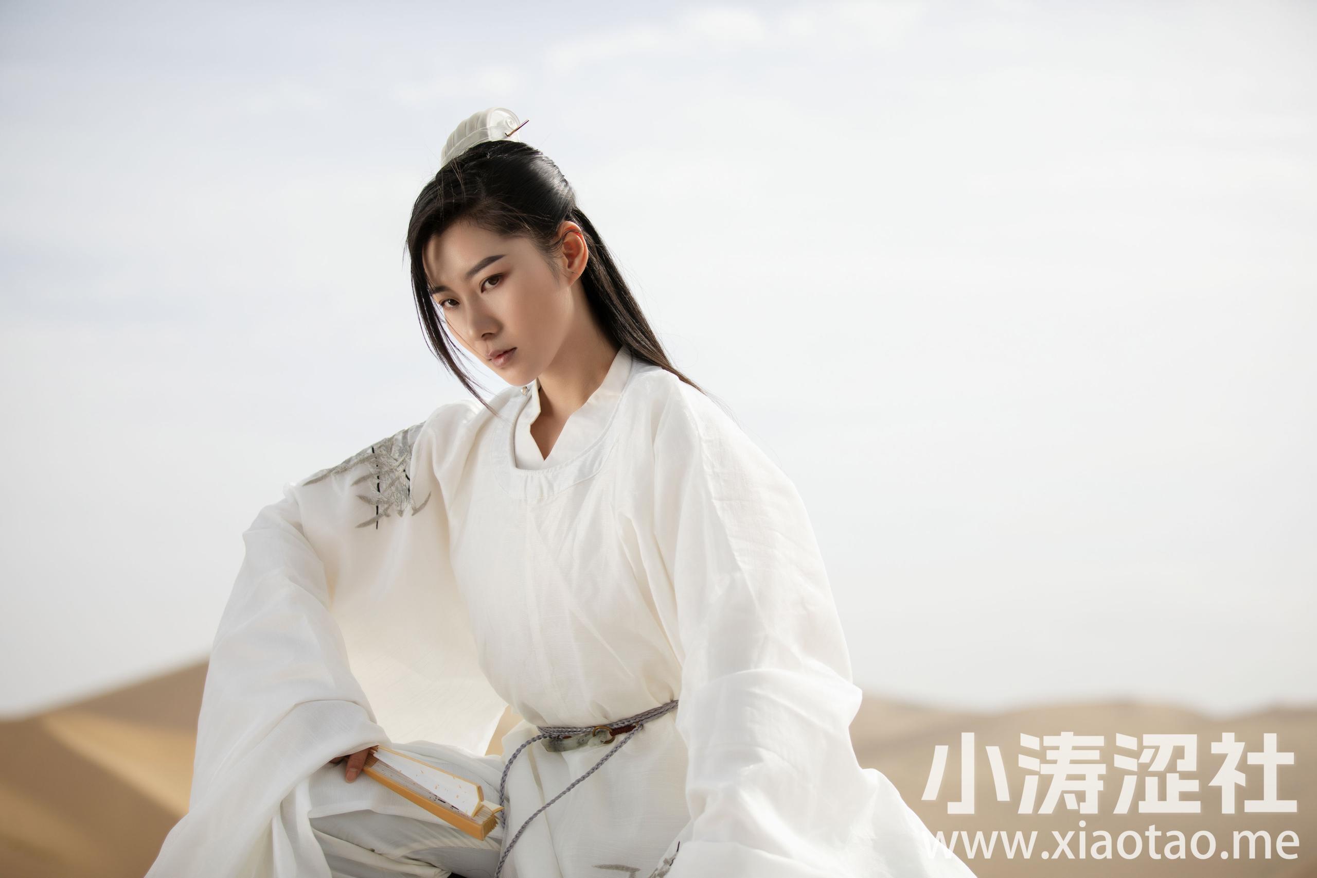 大漠风起 古风 武侠 沙漠