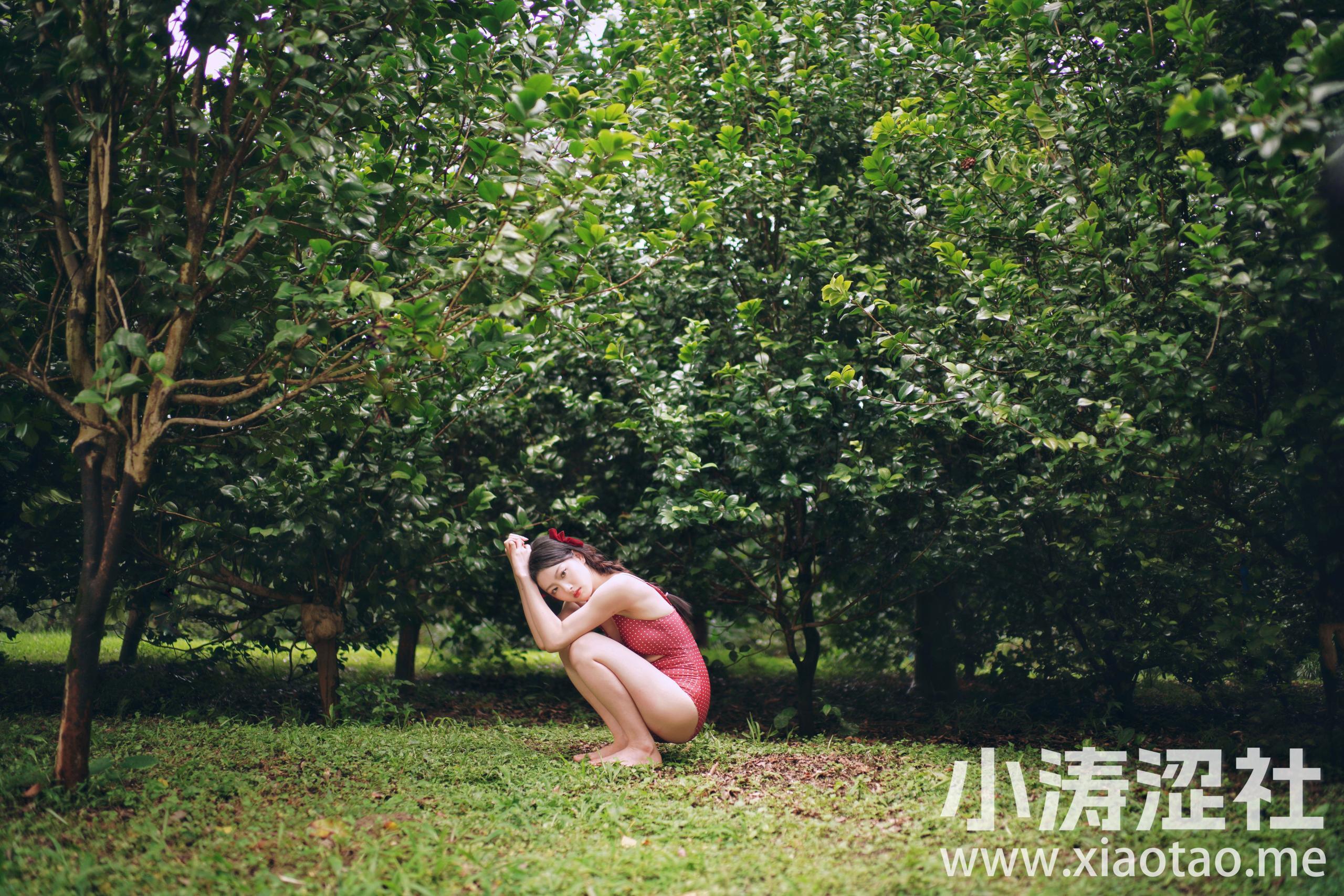 幽绿 