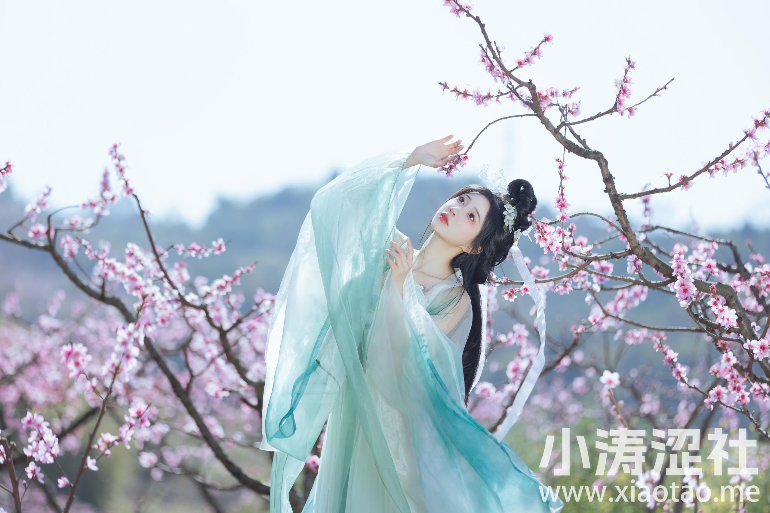 桃花坞 古风 美人 桃花 汉服 唯美 花 小仙女 优美