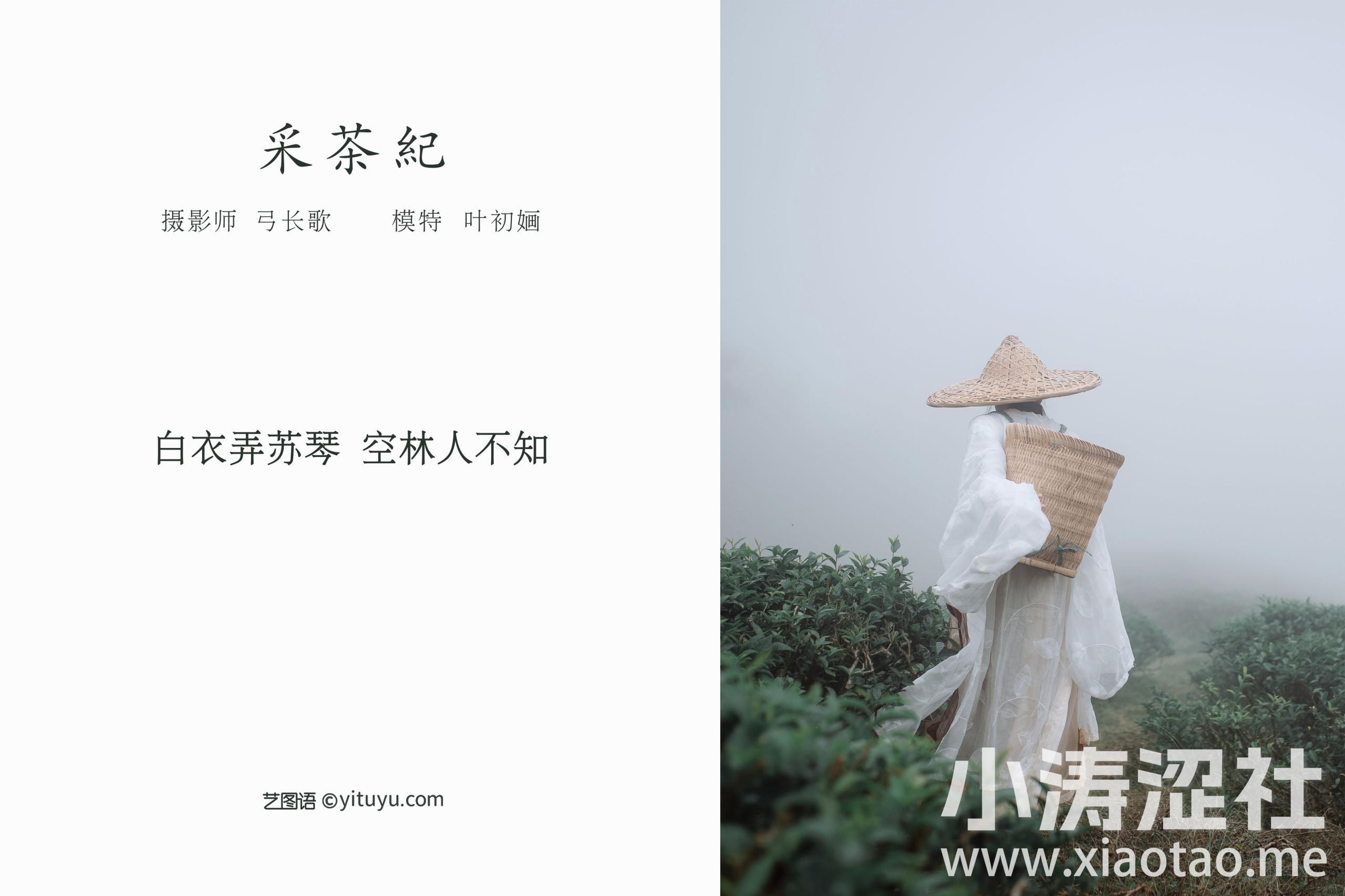 [YiTuYu艺图语] 叶初婳《采茶纪》 好看的4K高清无水印纯欲妹子意境唯美写真完整版图集