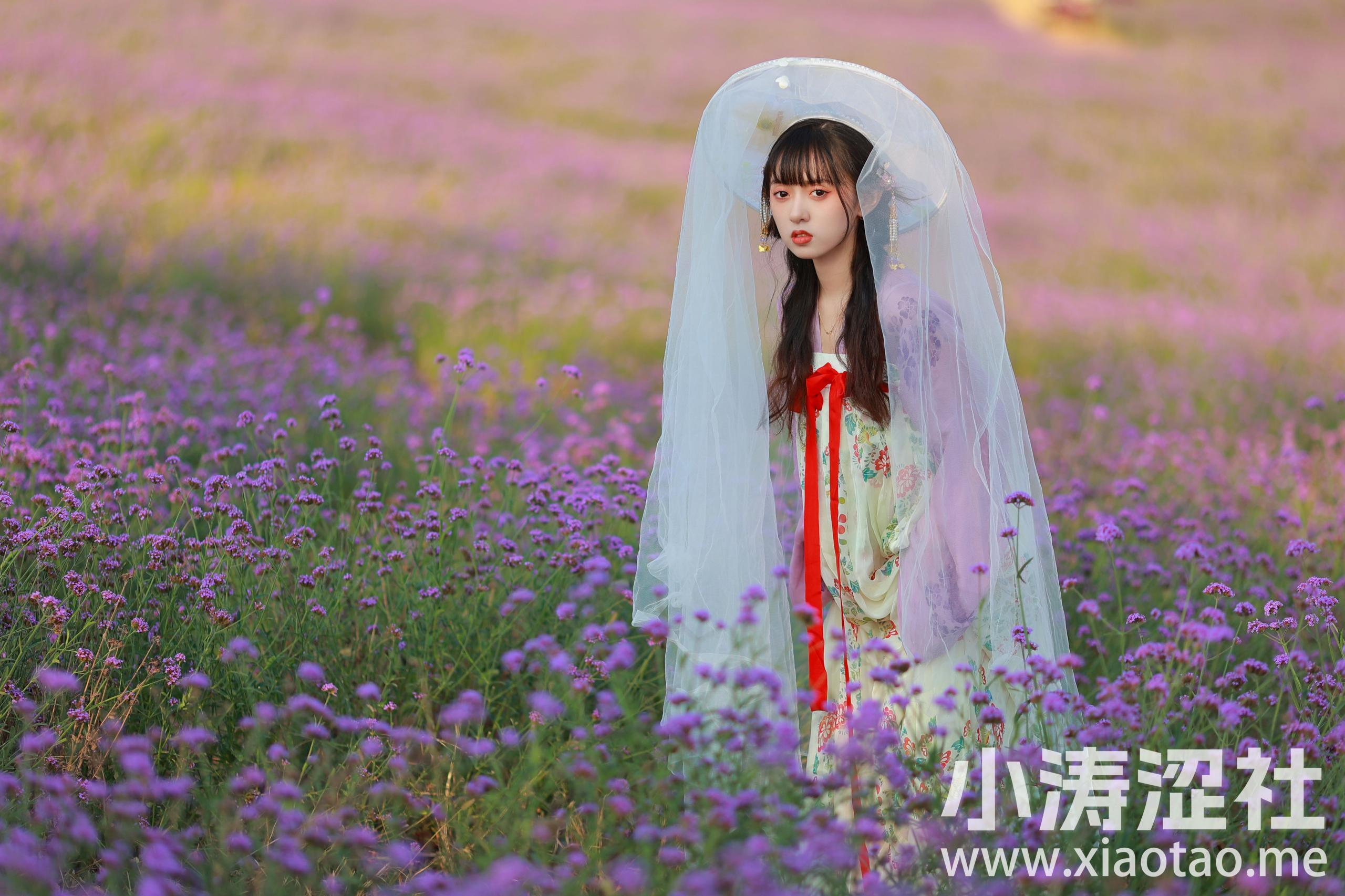 薰衣草少女 