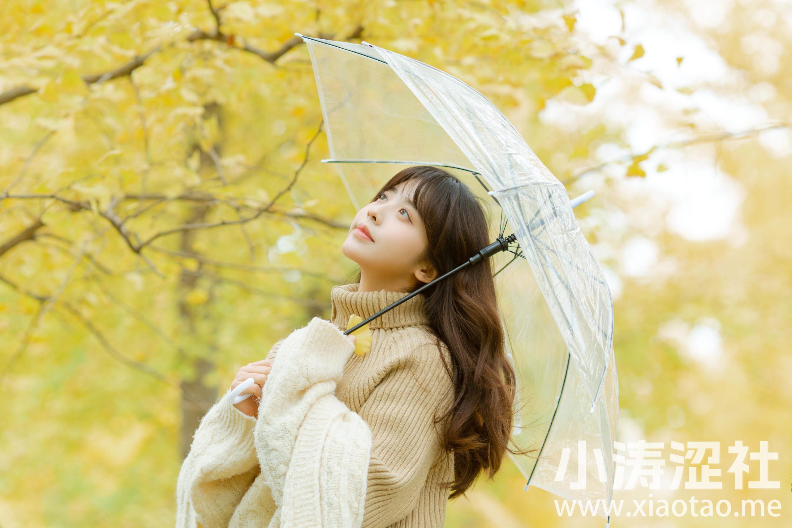深秋 银杏 气质美女 秋天 森系 小清新摄影